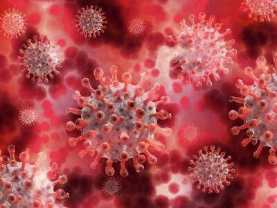 Немецкие учёные нашли подтверждения лабораторного происхождения коронавируса
