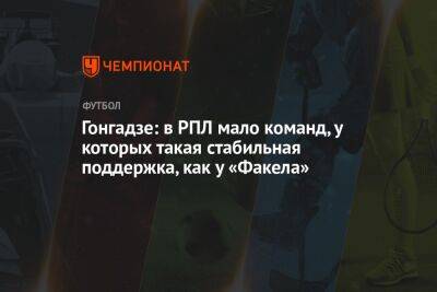 Гонгадзе: в РПЛ мало команд, у которых такая стабильная поддержка, как у «Факела»