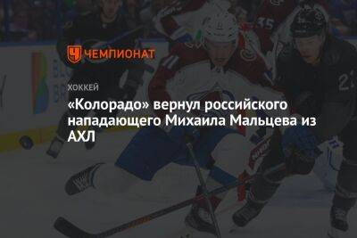 «Колорадо» вернул российского нападающего Михаила Мальцева из АХЛ