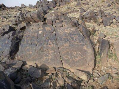 У пустелі Гобі знайдено петрогліфи із зображенням мамонтів