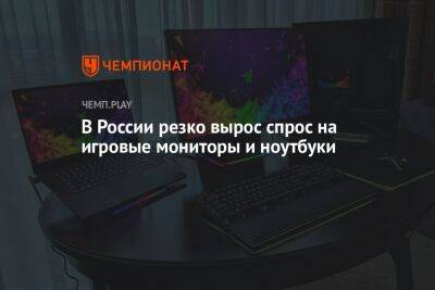 В России резко вырос спрос на игровые мониторы и ноутбуки