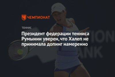 Симон Халеп - Президент федерации тенниса Румынии уверен, что Халеп не принимала допинг намеренно - championat.com - США - Румыния