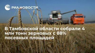 В Тамбовской области собрали 4 млн тонн зерновых с 88% посевных площадей