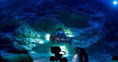 На глубине 500 метров. На Мальдивах обнаружили "оазис жизни", сформировавшийся 60 млн лет назад (видео)