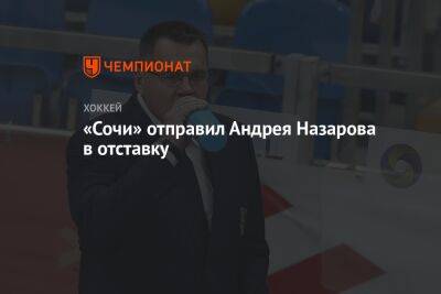 «Сочи» отправил Андрея Назарова в отставку