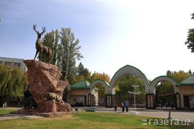 Ташкентскому зоопарку 98 лет. Как живут его старожилы?