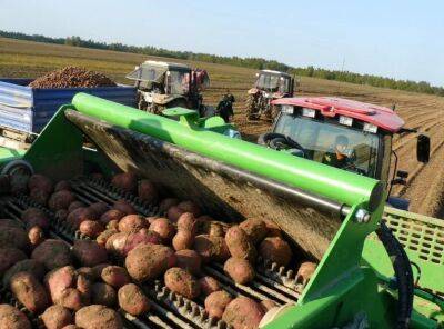 Тверская область отчиталась об увеличении урожайности зерновых, картофеля и овощей