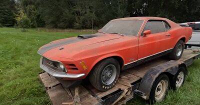 Редкий коллекционный Ford Mustang 40 лет простоял заброшенным в сарае на ферме (видео)