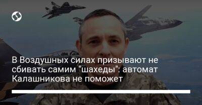 В Воздушных силах призывают не сбивать самим "шахеды": автомат Калашникова не поможет
