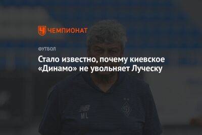 Стало известно, почему киевское «Динамо» не увольняет Луческу