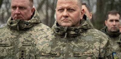 Єдина зброя «масового ураження», яка є в Україні – це жага перемогти ворога – Залужний