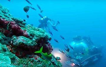 На Мальдивах обнаружили «оазис жизни» на глубине 500 метров