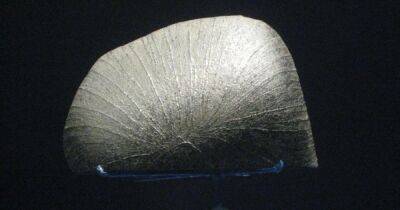 Марсианский метеорит с органикой Земли: разгадана 100-летняя тайна космического камня