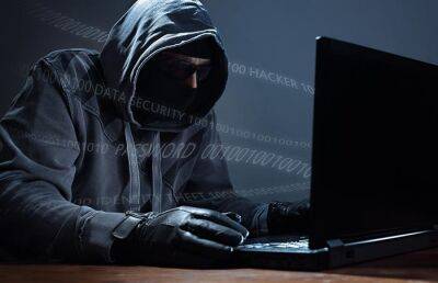Интерпол считает самой большой угрозой киберпреступность