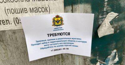 В Херсоне россияне предлагают жителям вступать в "терроборону"