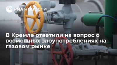 Песков: в Кремле не опасаются, что Турция злоупотребит положением на газовом рынке