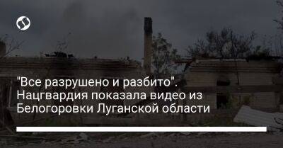 "Все разрушено и разбито". Нацгвардия показала видео из Белогоровки Луганской области