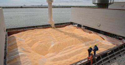 Почти 200 судов в очереди: Россия мешает провозить зерно через Босфор