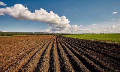 Земельный участок, принадлежащий субъекту РФ, введен в сельхозоборот