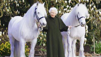 Король Чарльз III продаст 14 лошадей Елизаветы II, передавшихся ему в наследство