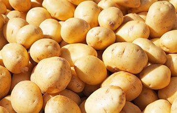 Россиянин пытался купить в Беларуси 40 тонн картофеля и остался без денег