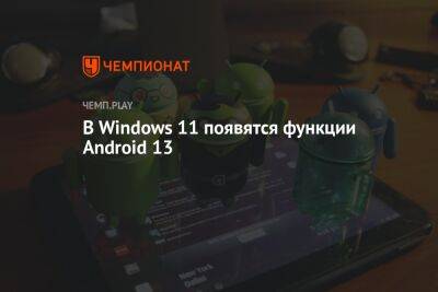 В Windows 11 появятся функции Android 13