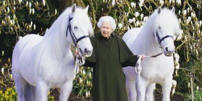 Король Чарльз продаст 14 лошадей, которые принадлежали Елизавете II