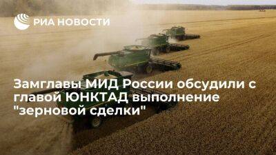 Замглавы МИД России Вершинин и глава ЮНКТАД Гринспан обсудили выполнение "зерновой сделки"