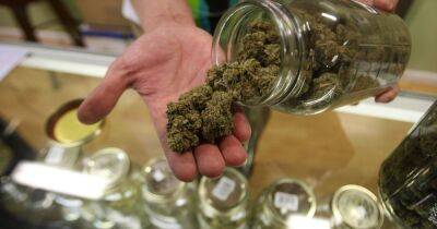 Больше не наркотик: Правительство Германии поддержало план легализации марихуаны