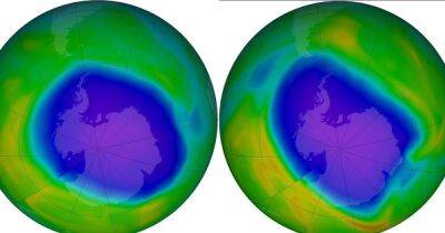 Сценарий "выжженной Земли" отсрочили. Озоновая дыра уменьшилась почти на два млн км2
