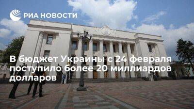 Депутат Рады Железняк: в бюджет Украины с 24 февраля поступило 20 миллиардов долларов