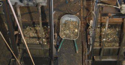В Хмельницком выбрасывают в унитаз свиные копыта и вилки: коммунальщики просят горожан остановиться (ФОТО)