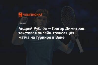 Андрей Рублёв — Григор Димитров: текстовая онлайн-трансляция матча на турнире в Вене