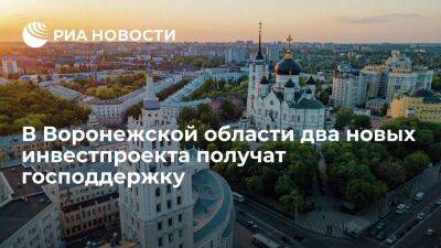 В Воронежской области получат господдержку два новых проекта инвестиций