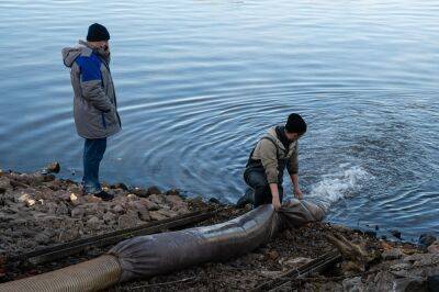 Калининская АЭС выпустила в озера-охладители более одной тонны краснокнижной рыбы