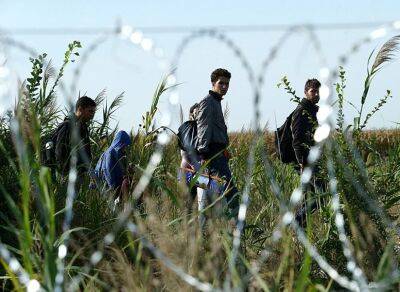 Названо число мигрантов, погибших на маршрутах в Европу с 2021 года