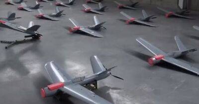Украинские защитники на передовой получат еще 20 дронов Warmate (ВИДЕО)