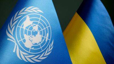 Украина вместе с другими государствами представит в ООН практики борьбы с дезинформацией