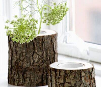 Натуральная ваза из ствола дерева