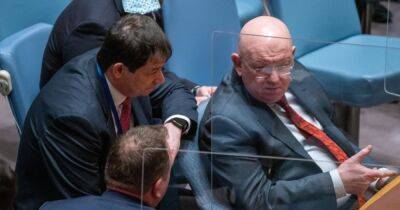 "Сколько еще придется терпеть эту ерунду": в ООН раскритиковали Россию за трату времени Совбеза
