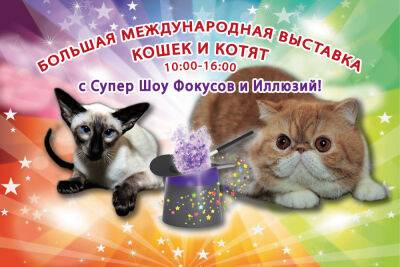 Большая Международная выставка кошек и Супер Шоу Иллюзий
