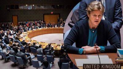 Терпение лопнуло: представительница Британии спросила, сколько еще терпеть бред РФ в Совбезе ООН
