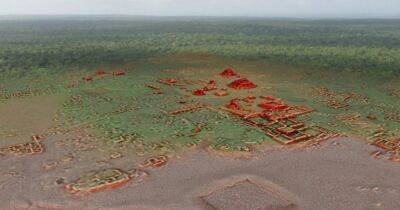 Затерянный в джунглях. "Лидар" показал масштаб города Майя с многоквартирными домами