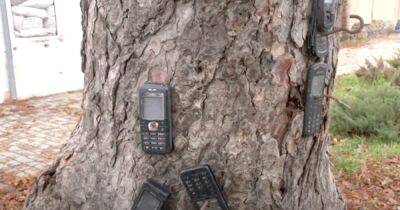 В Казачьей Лопани оккупанты забирали мобильные у местных и прибивали их к деревьям (видео)