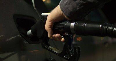 Что будет с ценами на бензин: в НБУ спрогнозировали ситуация на рынке топлива