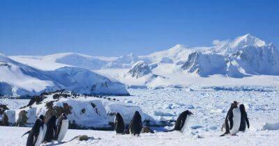 Под ледяным щитом Антарктиды найден "трубопровод": простирается на 460 км и ускоряет таяние - focus.ua - Украина - Лондон - Антарктида
