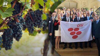 Прошло 14 лет: Украина возобновляет членство в Международной организации виноделия
