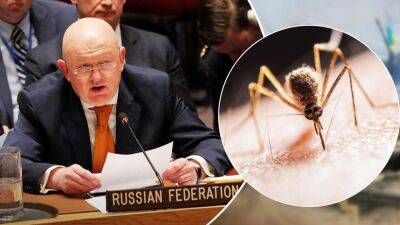 "Боевые комары" США: Россия выдала очередную ахинею на Совбезе ООН