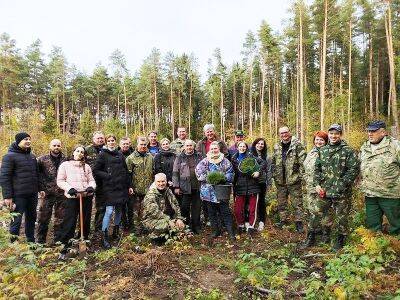 В Щучинском лесхозе в рамках акции «Обновим леса вместе!» восстановили 2,5 га буреломных участков
