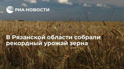 Губернатор Малков: более трех миллионов тонн зерна собрали в 2022 году в Рязанской области